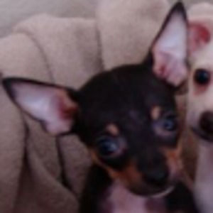 Meet your Posher, Vikki